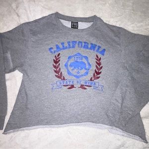 Gray crop top shirt from “ MODERN LUX” size L